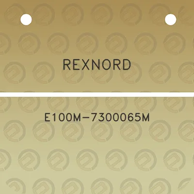 rexnord-e100m-7300065m