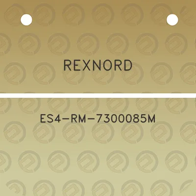 rexnord-es4-rm-7300085m