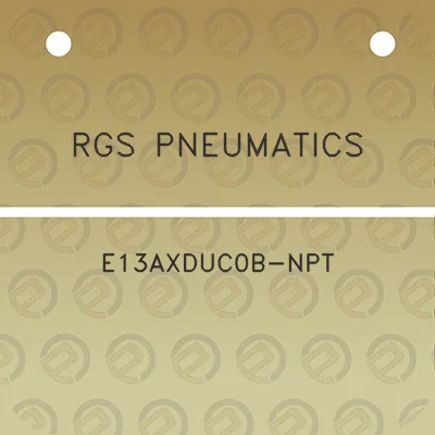 rgs-pneumatics-e13axduc0b-npt