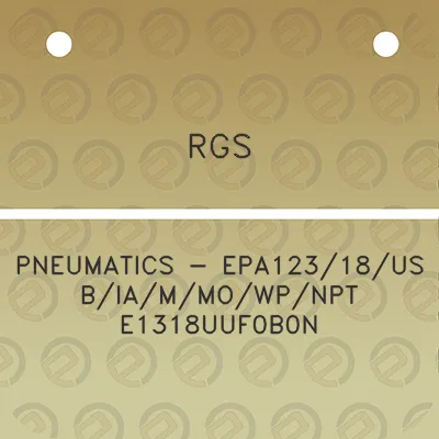 rgs-pneumatics-epa12318usbiammowpnpt-e1318uuf0b0n