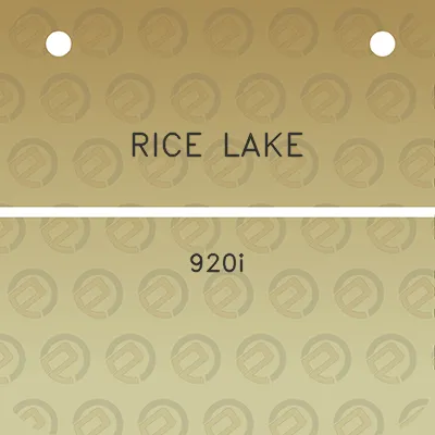 rice-lake-920i