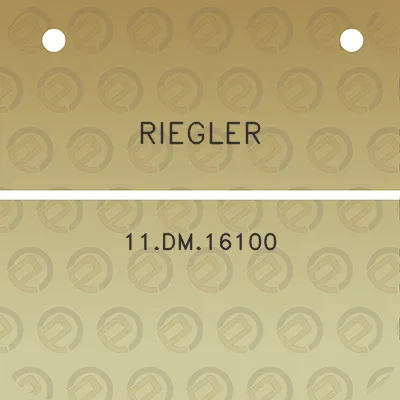 riegler-11dm16100