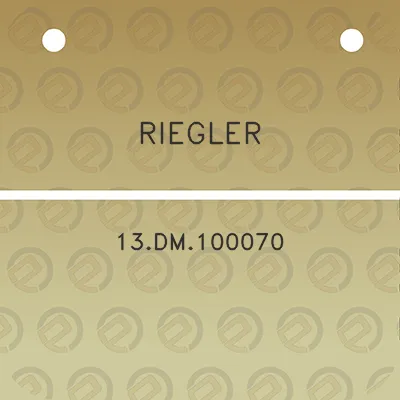 riegler-13dm100070