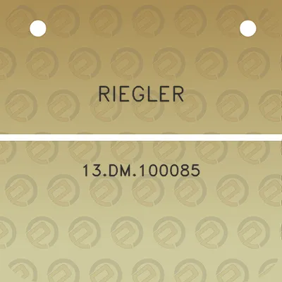 riegler-13dm100085