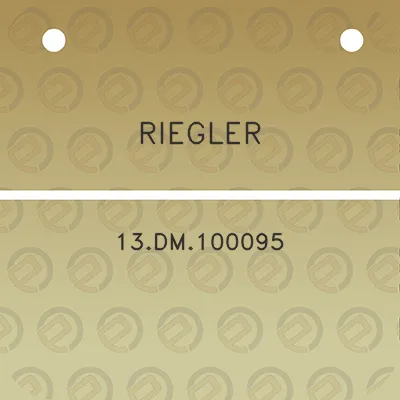 riegler-13dm100095