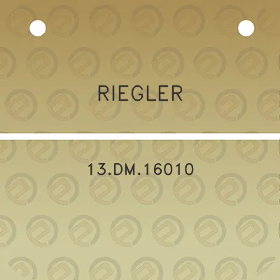 riegler-13dm16010