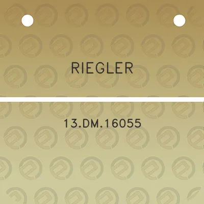 riegler-13dm16055