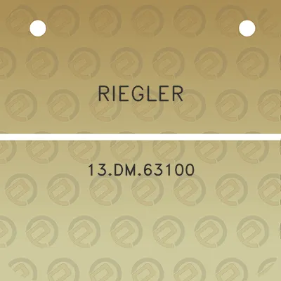 riegler-13dm63100