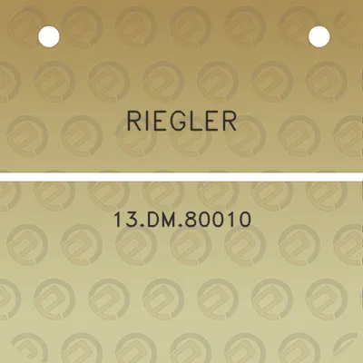 riegler-13dm80010