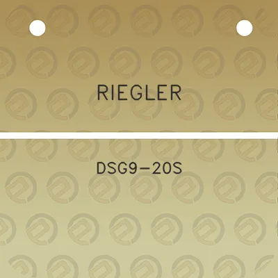 riegler-dsg9-20s