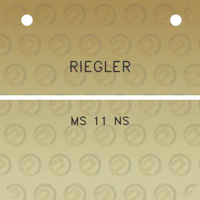 riegler-ms-11-ns