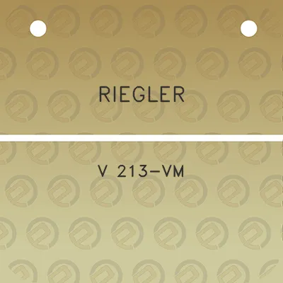 riegler-v-213-vm