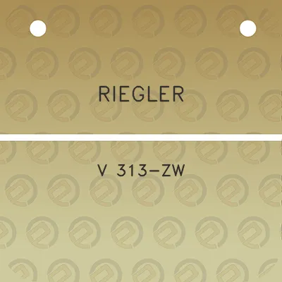 riegler-v-313-zw