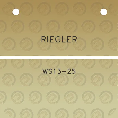 riegler-ws13-25