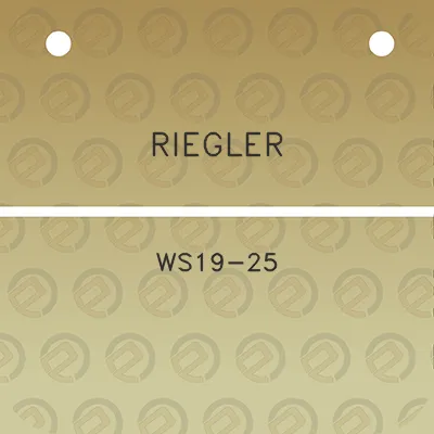 riegler-ws19-25