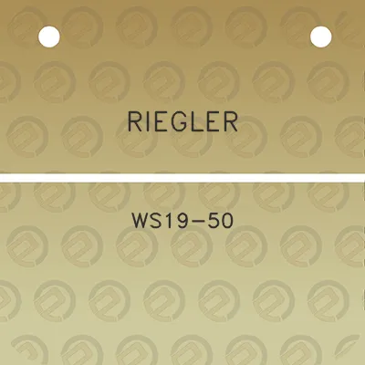 riegler-ws19-50