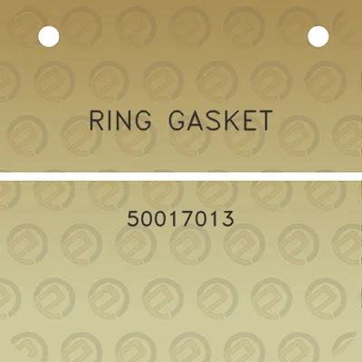 ring-gasket-50017013