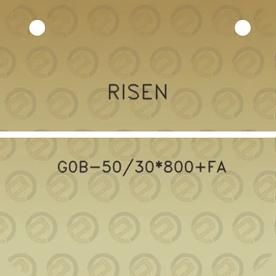 risen-g0b-5030800fa