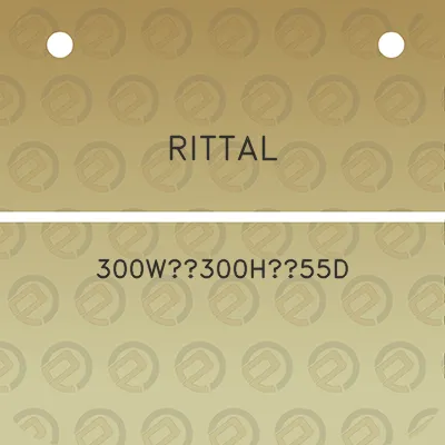 rittal-300w300h55d