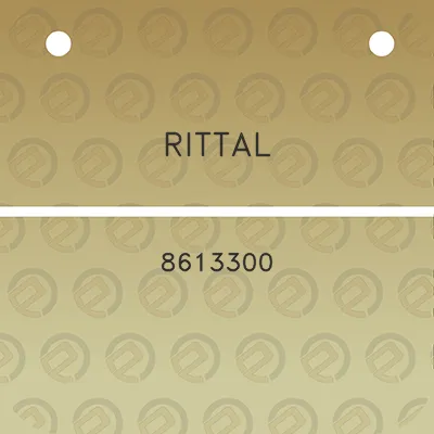 rittal-8613300