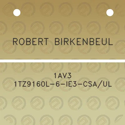 robert-birkenbeul-1av3-1tz9160l-6-ie3-csaul