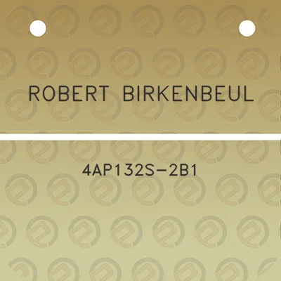 robert-birkenbeul-4ap132s-2b1