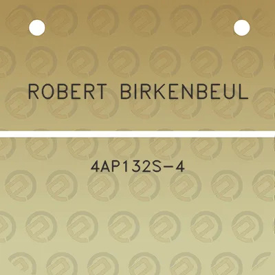 robert-birkenbeul-4ap132s-4