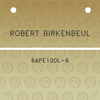 robert-birkenbeul-6ape100l-6