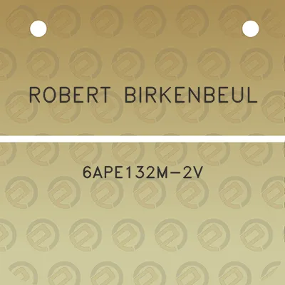 robert-birkenbeul-6ape132m-2v