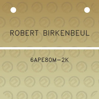 robert-birkenbeul-6ape80m-2k