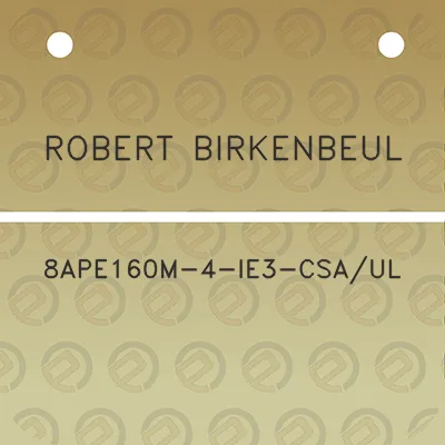 robert-birkenbeul-8ape160m-4-ie3-csaul