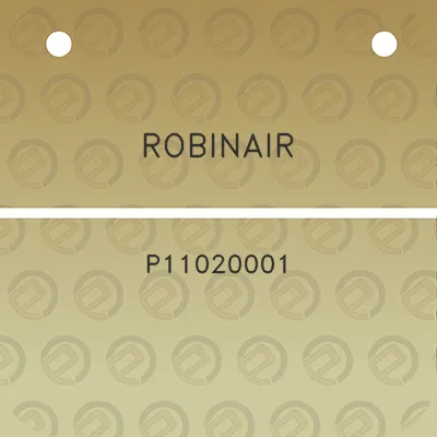 robinair-p11020001