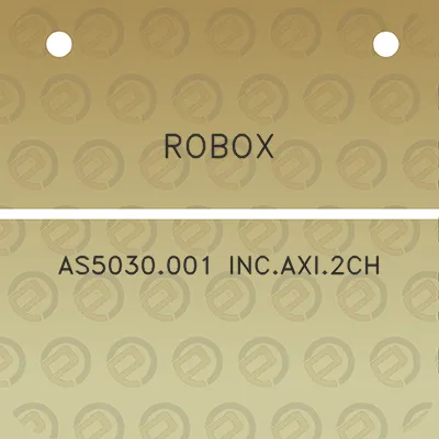 robox-as5030001-incaxi2ch