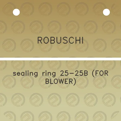 robuschi-sealing-ring-25-25b-for-blower