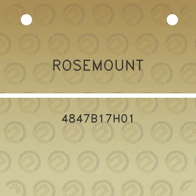 rosemount-4847b17h01