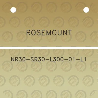 rosemount-nr30-sr30-l300-01-l1