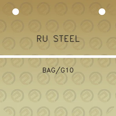 ru-steel-bagg10