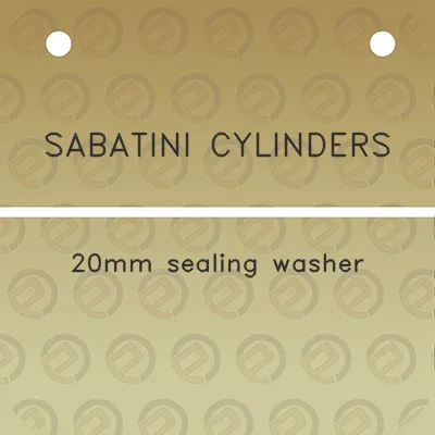 sabatini-cylinders-20mm-sealing-washer