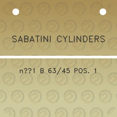 sabatini-cylinders-n1-b-6345-pos-1