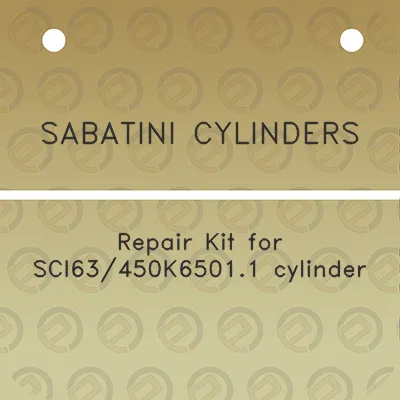 sabatini-cylinders-repair-kit-for-sci63450k65011-cylinder