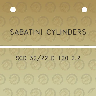 sabatini-cylinders-scd-3222-d-120-22