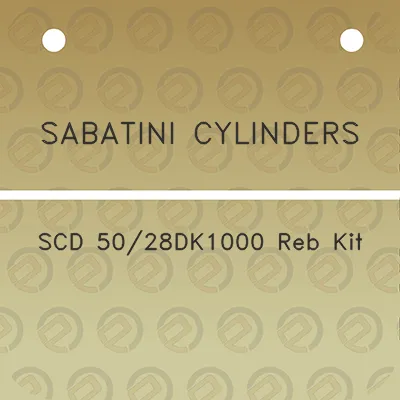 sabatini-cylinders-scd-5028dk1000-reb-kit