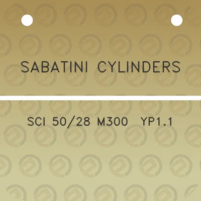 sabatini-cylinders-sci-5028-m300-yp11