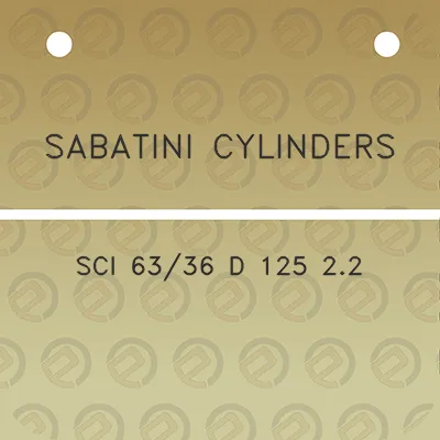 sabatini-cylinders-sci-6336-d-125-22