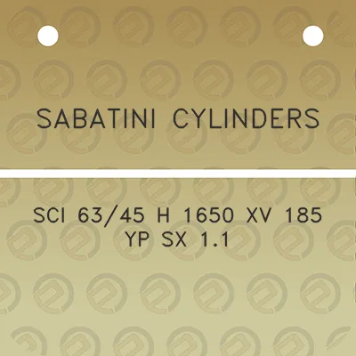 sabatini-cylinders-sci-6345-h-1650-xv-185-yp-sx-11