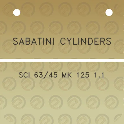 sabatini-cylinders-sci-6345-mk-125-11