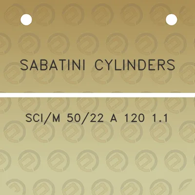 sabatini-cylinders-scim-5022-a-120-11