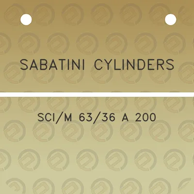 sabatini-cylinders-scim-6336-a-200