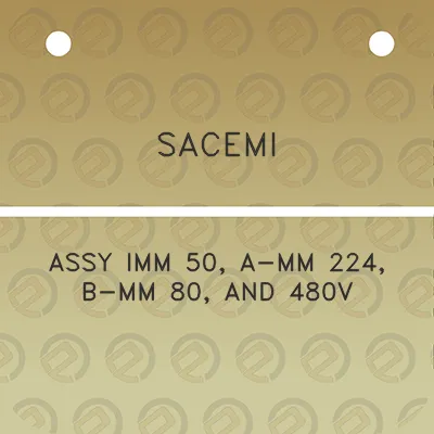 sacemi-assy-imm-50-a-mm-224-b-mm-80-and-480v