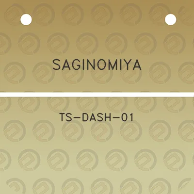 saginomiya-ts-dash-01